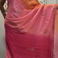 Star Noor - model wearing saree