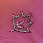 Star Noor - hand embroidery detail