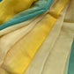 Firozaa - pallu