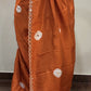 Narang Aaina - model wearing saree detail