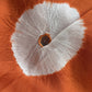 Narang Aaina - full saree