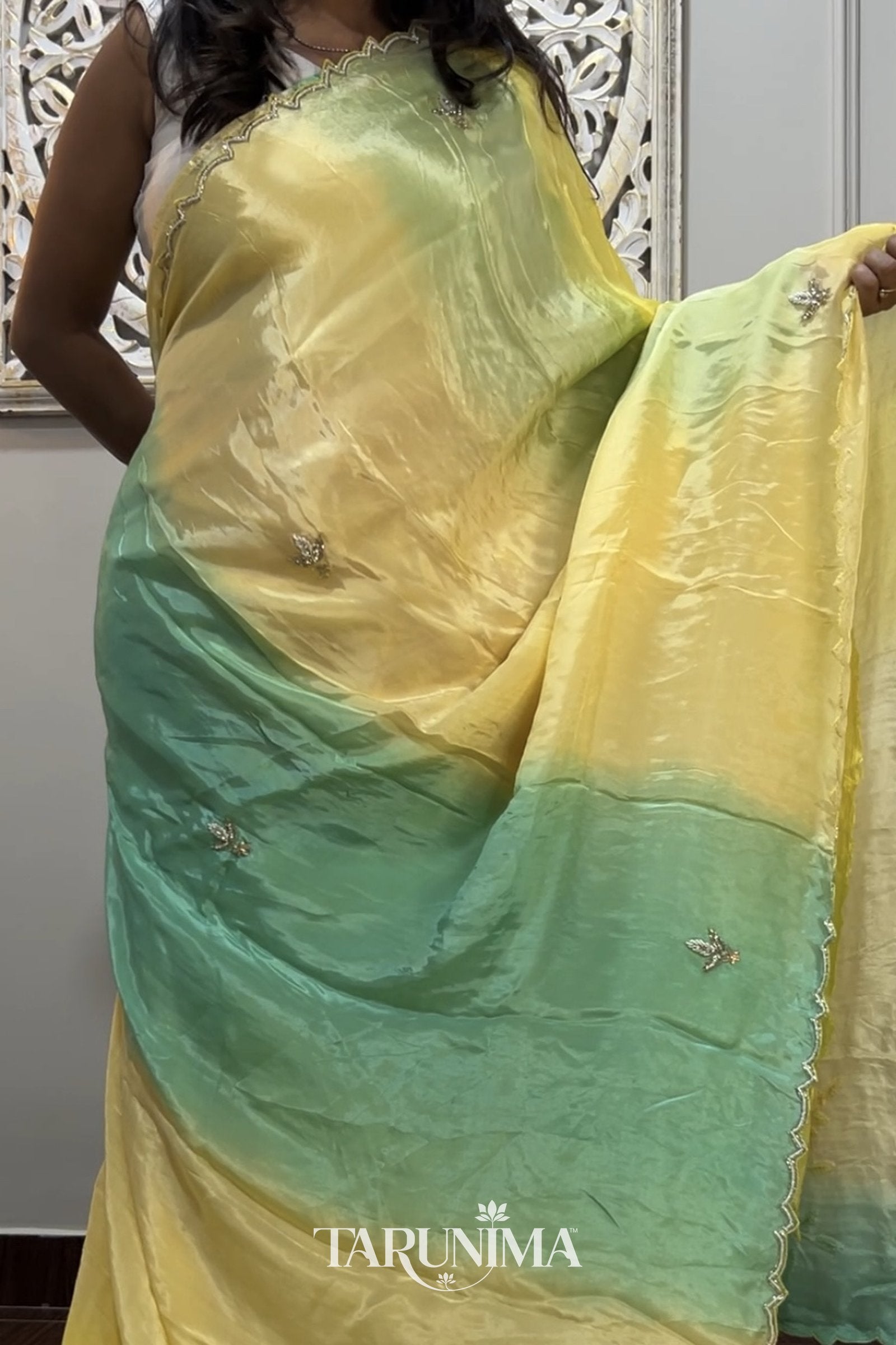 Noor Jahan - model wearing saree