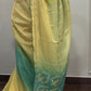Firozaa - model wearing saree detail