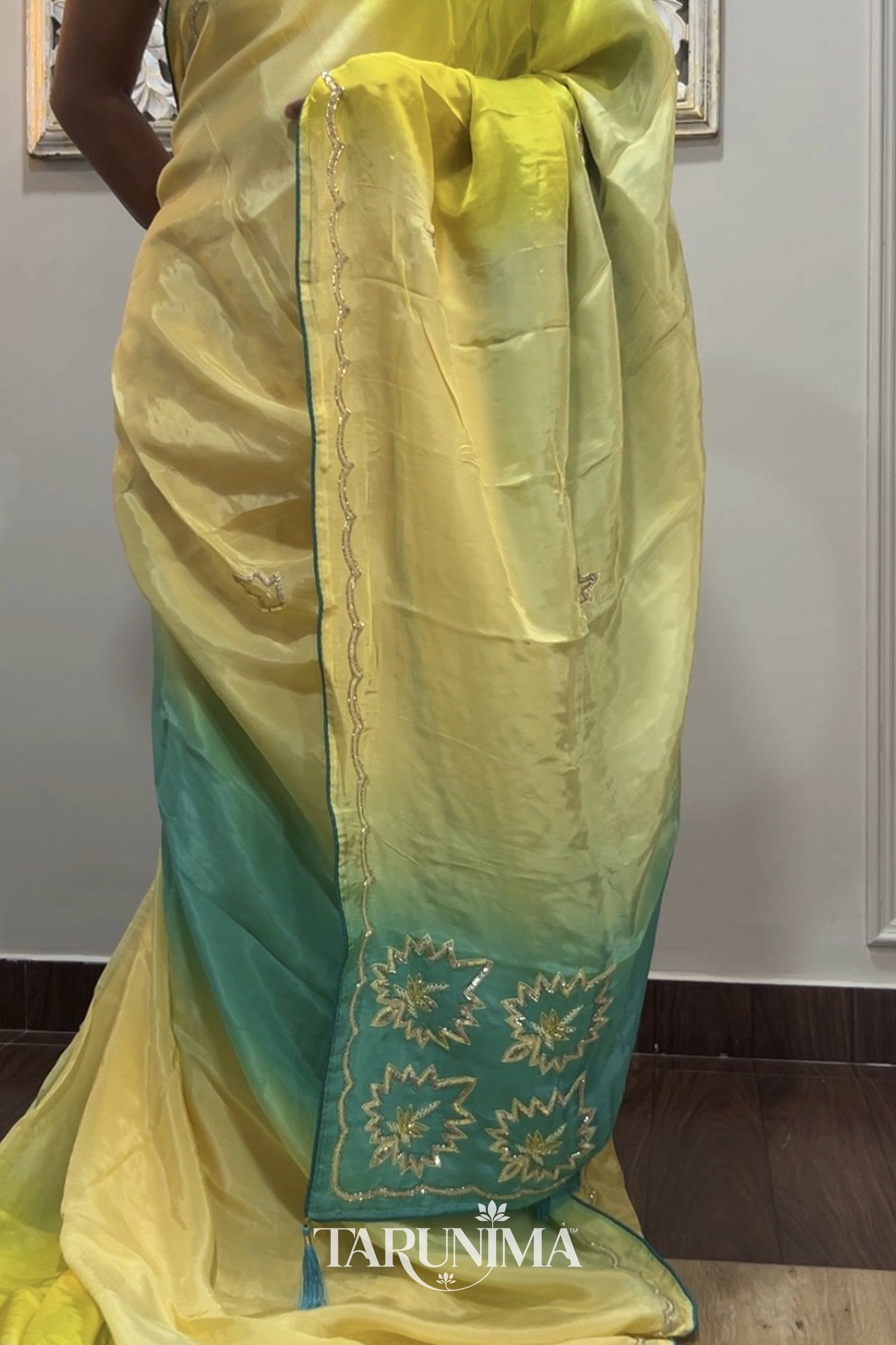 Firozaa - model wearing saree detail