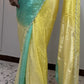 Noor Jahan - full saree