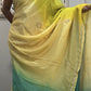 Firozaa - model wearing saree