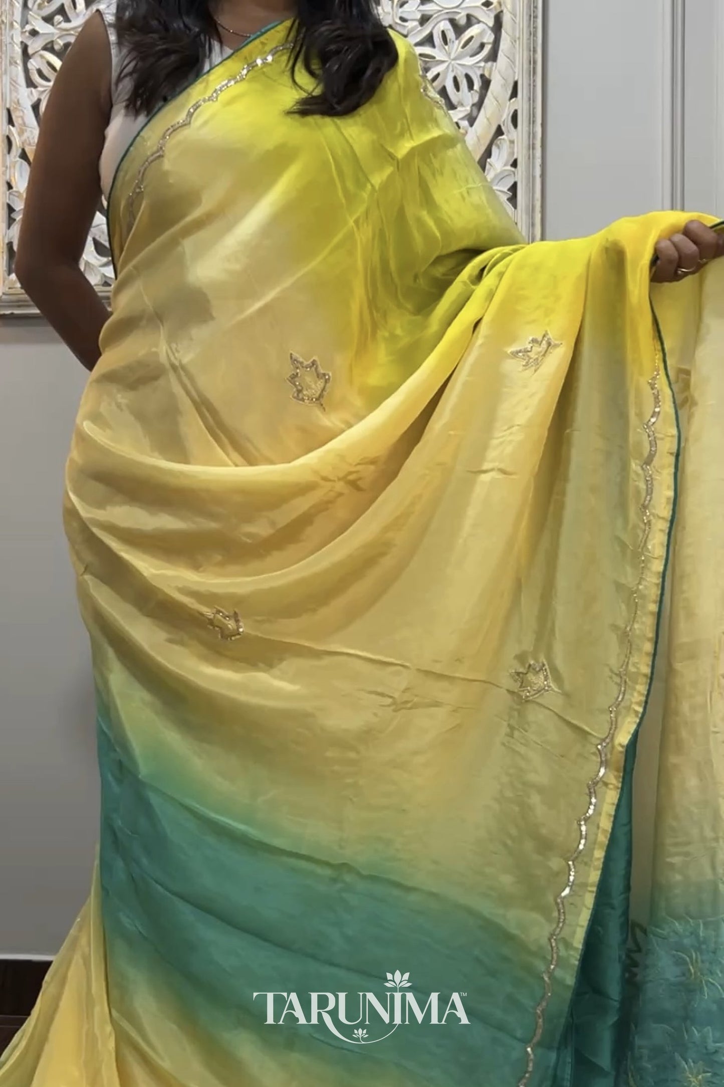 Firozaa - model wearing saree